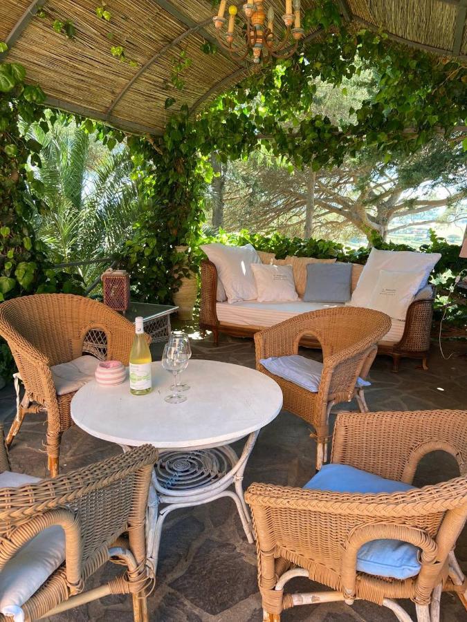 B&B Villa Il Poggetto Venturina Terme Bagian luar foto