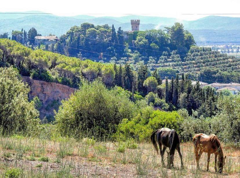 B&B Villa Il Poggetto Venturina Terme Bagian luar foto