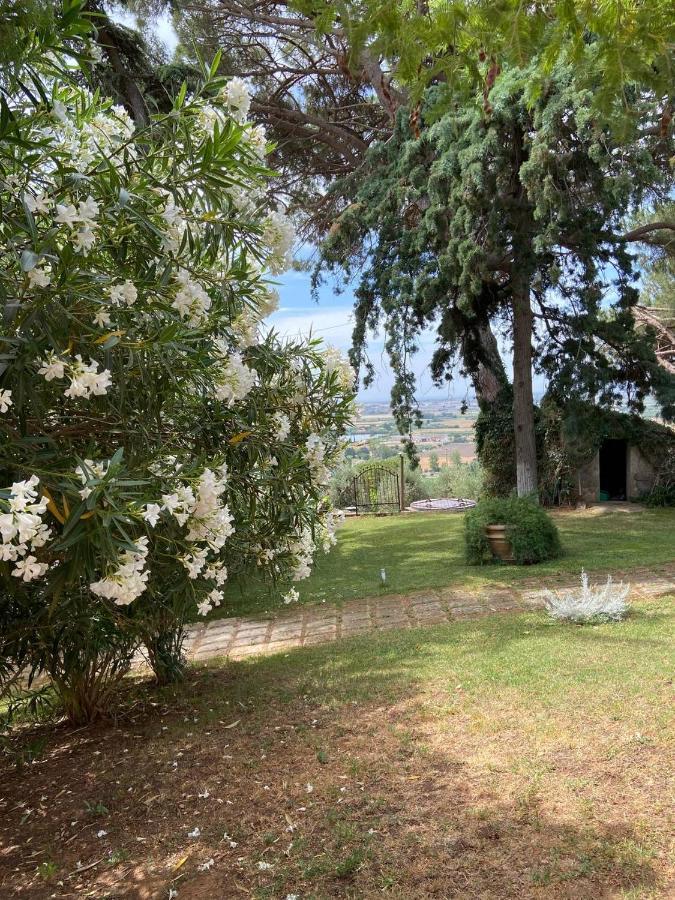 B&B Villa Il Poggetto Venturina Terme Bagian luar foto