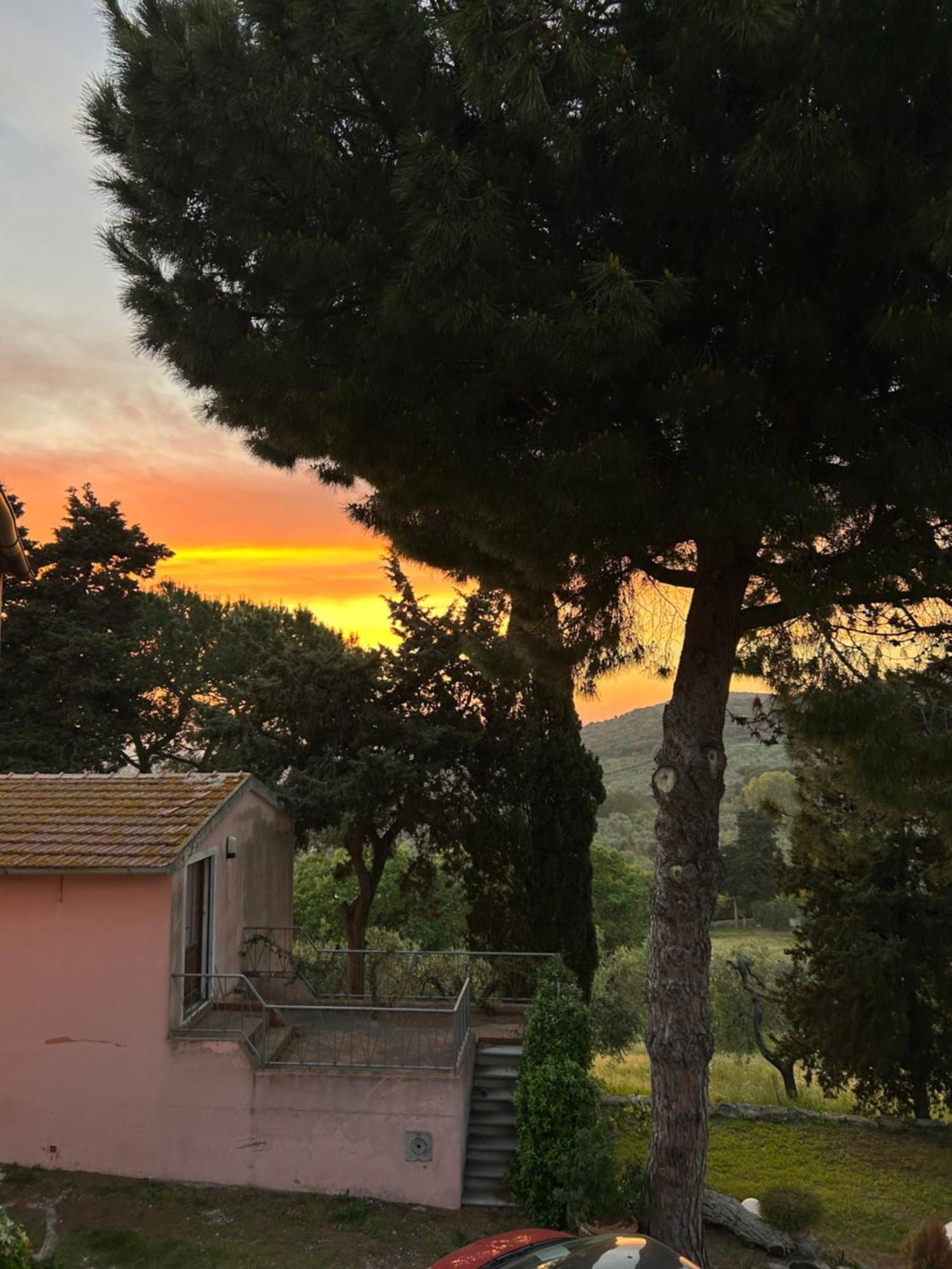 B&B Villa Il Poggetto Venturina Terme Bagian luar foto