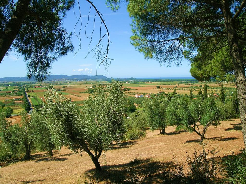 B&B Villa Il Poggetto Venturina Terme Bagian luar foto