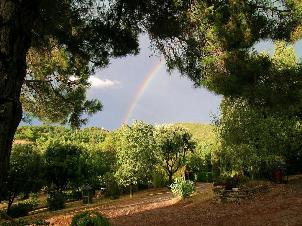 B&B Villa Il Poggetto Venturina Terme Bagian luar foto